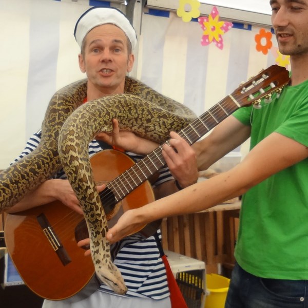 zingende matroos - solo muzikant - SAIL 2015 - zeeman liedjes - zeeslang