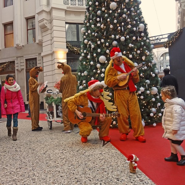 RUDOLF & CUPIDO 2013-12-26 - Den Haag 013bb (1000x1000).jpg