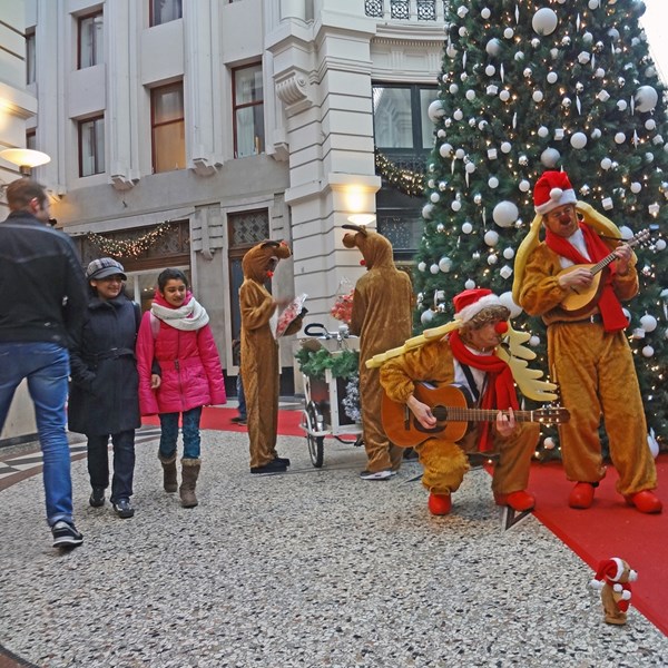 RUDOLF & CUPIDO 2013-12-26 - Den Haag 013a bew_bewerkt-1 (1000x1000).jpg