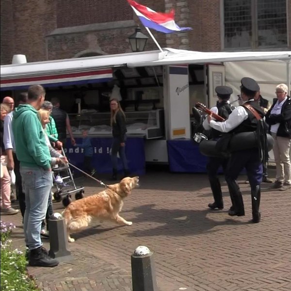 PRETPOLITIE 2015-05-25 Burgh-Haamstede (59)v.jpg