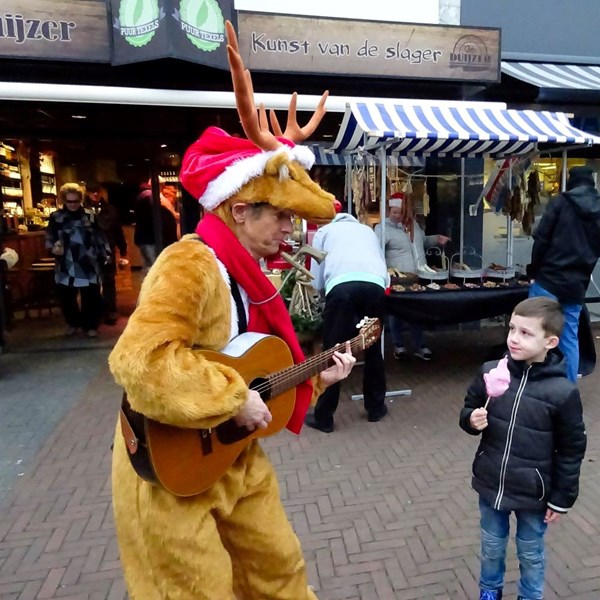 RUDOLF 2016-12-17 Den Helder (09)v (1000x1000).jpg