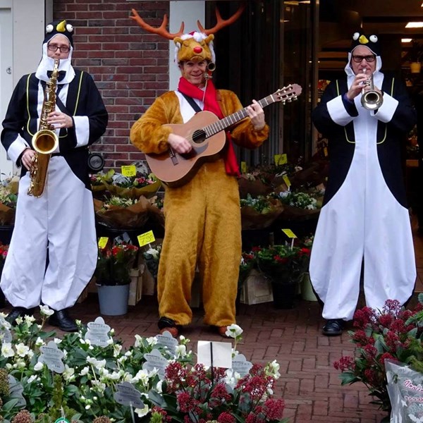 RUDOLF 2016-12-17 Den Helder (07)v (1000x1000).jpg