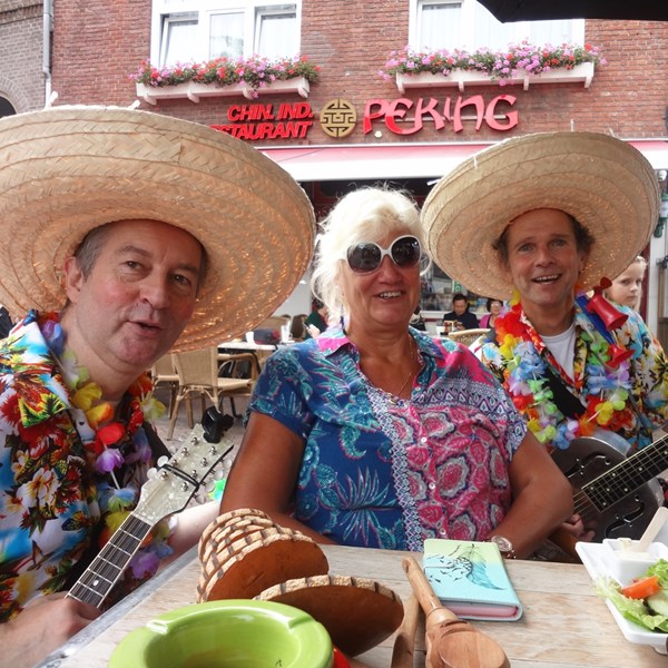TROPICAL DOBRO  2017-07-27 2.jpg