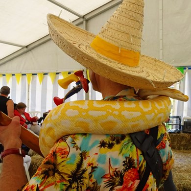 TROPICAL DOBRO 2018-06-08 Udenhout (12)vb (1000x1000).jpg