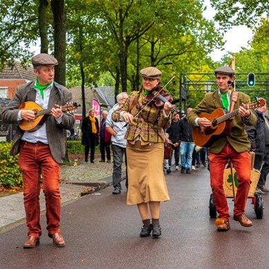 IRISH MUSE 2019-10-13 Zuidlaren (77)v3.jpg