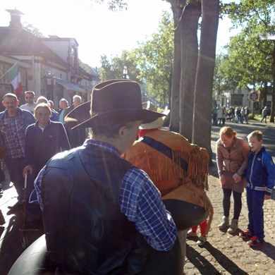 COWBOYS 2016-10-16 Zuidlaren (22)vb (1000x1000).jpg