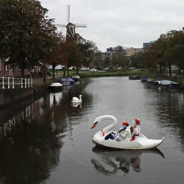 ZWAAN 2020-10-03 Leiden (58)vb (1000x1000).jpg