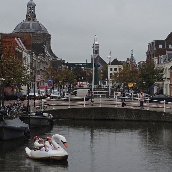ZWAAN 2020-10-03 Leiden (80)vb (1000x1000).jpg