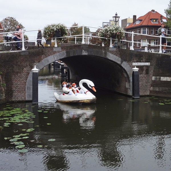 ZWAAN 2020-10-03 Leiden (69)vb (1000x1000).jpg