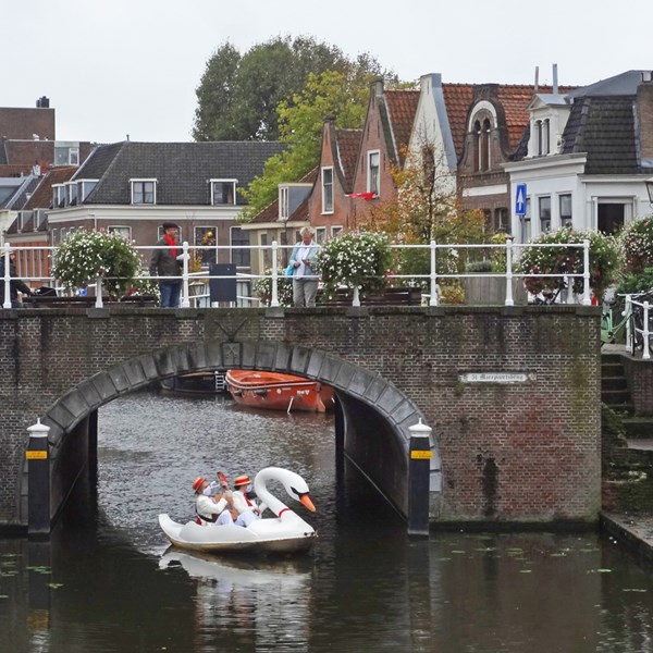 ZWAAN 2020-10-03 Leiden (87)vb (1000x1000).jpg