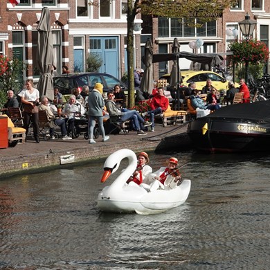 ZINGENDE ZWAAN 2021-10-04 (718)vb (1000x1000).jpg