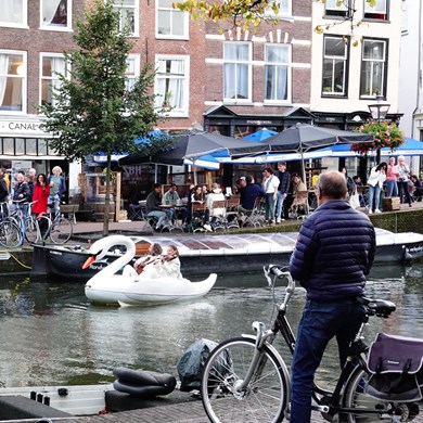 ZWAAN 2021-10-03 Leiden (60)vb (1000x1000).jpg