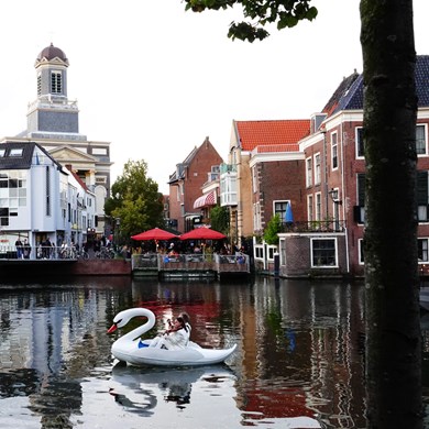 ZWAAN 2021-10-03 Leiden (93)vb (1000x1000).jpg