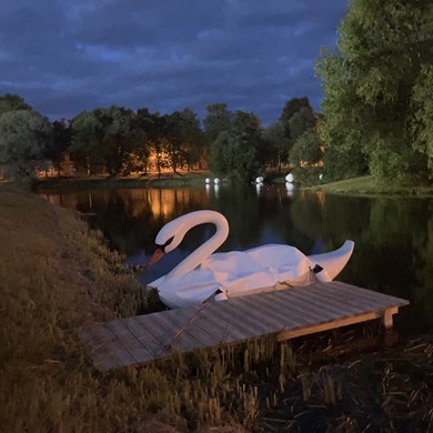 ZINGENDE ZWAAN 2023-07-19-Letland-(55)-web.jpg