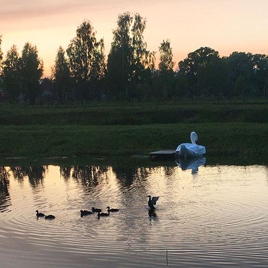 ZINGENDE ZWAAN 2023-07-19-Letland-(134)bb-web.jpg