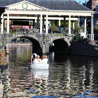 ZINGENDE ZWAAN 2024-10-03-Leiden-(6)vb-web.jpg