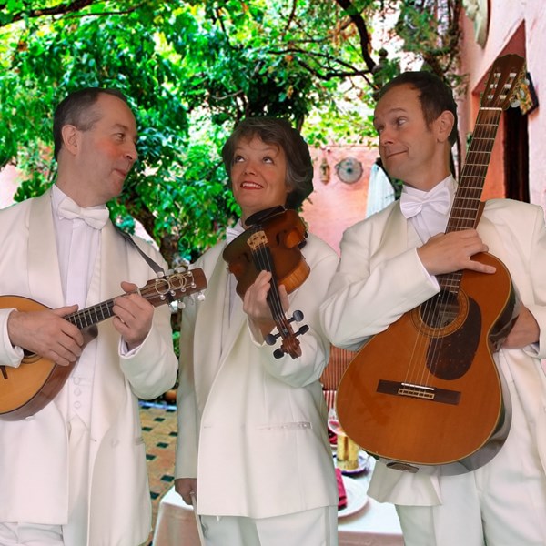 bruiloft entree receptie diner muziek TRIO CHIQUE akoestisch mobiel muzikanten trio (2)